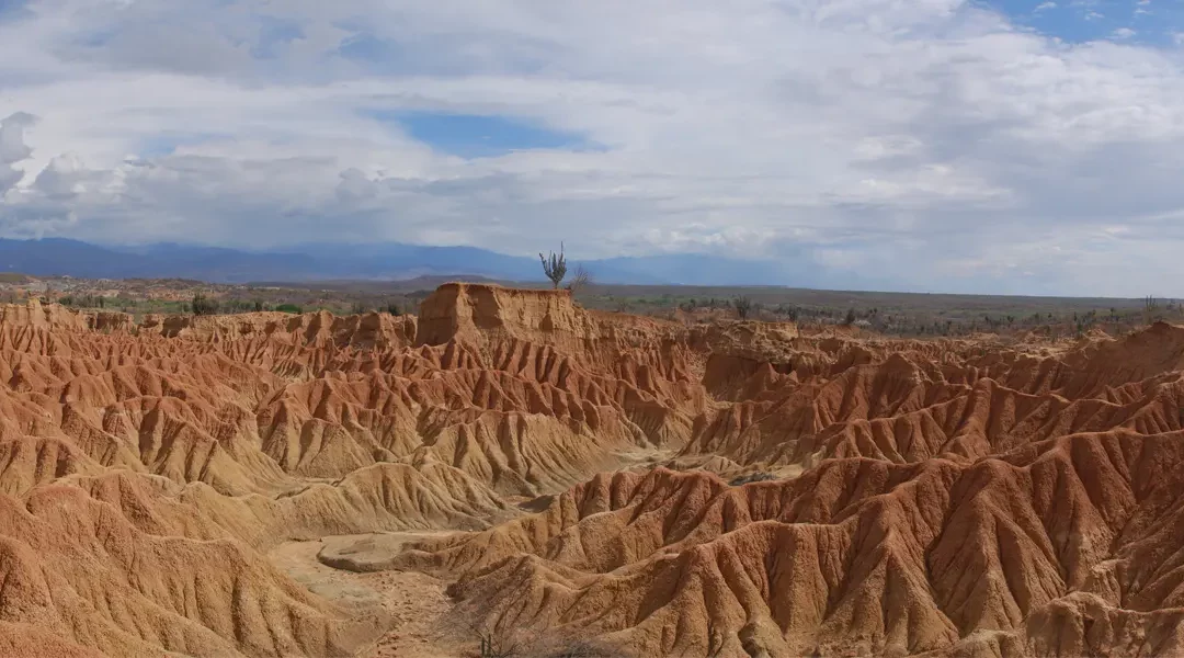 The Best of Colombia